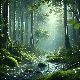 Forest Rain