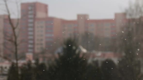 Snowfall in the City With Buildings on Blurred Background.