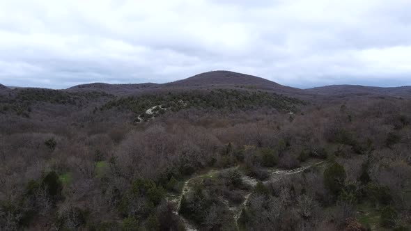 Hills covered with trees alt