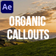 Organic Callouts - VideoHive Item for Sale