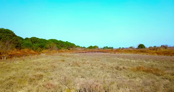 Thickets Field and Wooden Bridge Against High Green Trees alt