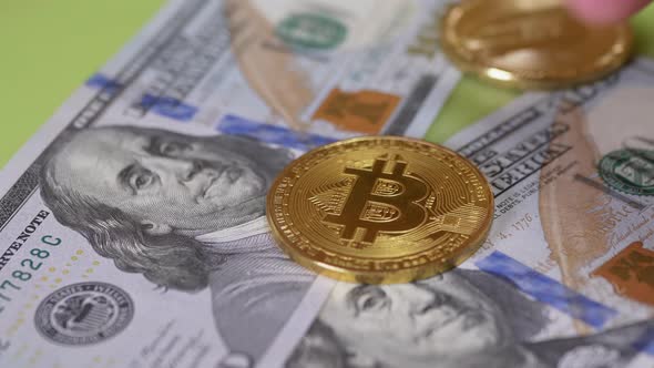 Human Business Man Buys Golden Bitcoin Coins for Dollars alt