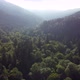 Flying Over the Green Forest and Mountains - VideoHive Item for Sale