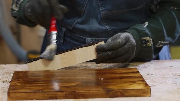 Closeup of Female Hands is Applying of Protective Varnish on Wood Plank