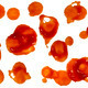 Ketchup stains blood stains - PhotoDune Item for Sale