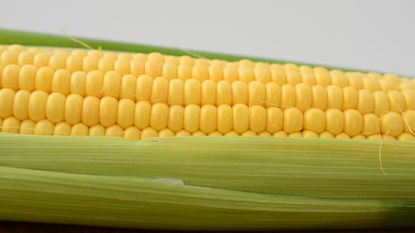 Corn 10 alt