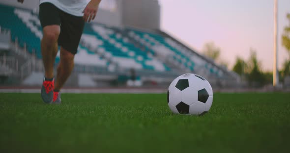 Set the Socker Ball on the Lawn Run and Hit the Ball in the Stadium with a Green Lawn. A alt