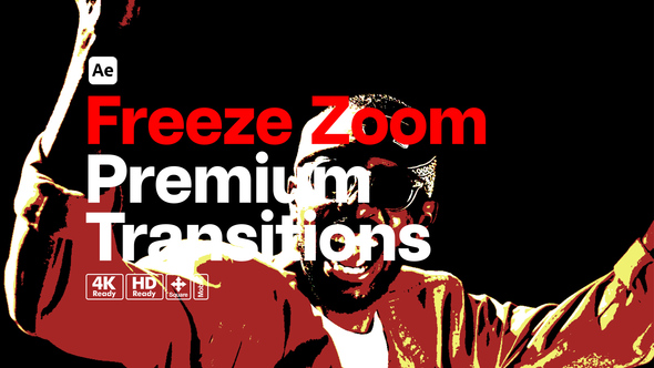 Premium Transitions Freeze Zoom Elements template preview