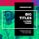 Big Titles &amp; Lower Thirds I Davinci Resolve - VideoHive Item for Sale