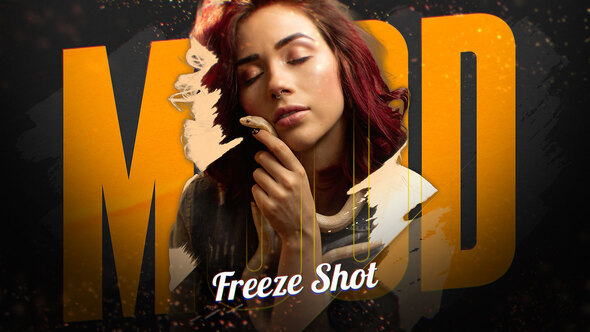 Mood Freeze Shot Video Displays template preview