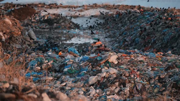 City Dump at Sunset alt