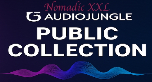 Main Public Collection Photo