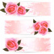 Three Holiday Banners with Pink Roses, Vectors | GraphicRiver