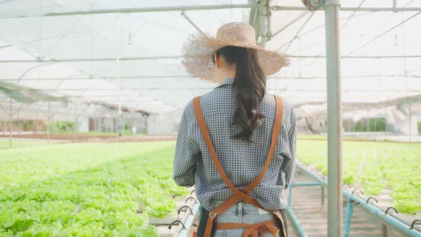Asian young beautiful woman farmer work in vegetables hydroponic farm. alt