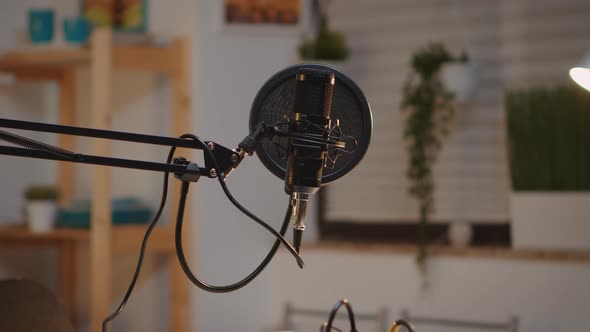 Professional Broadcasting Microphone alt