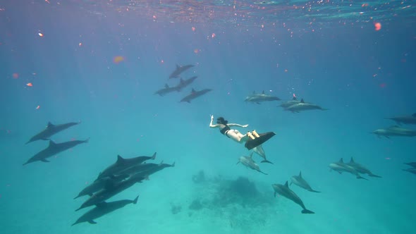 Beautiful Young Woman Swimming Underwater with Dolphins in Pristine Blue Ocean Water Amazing alt