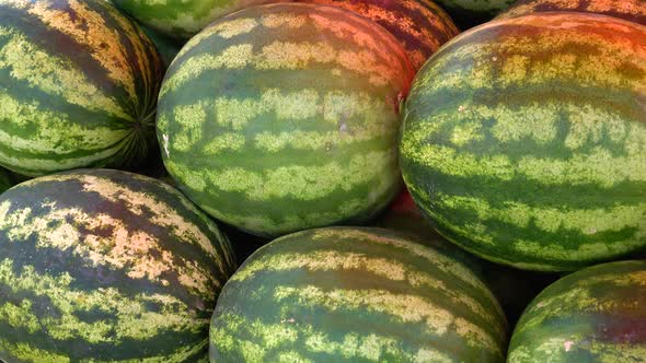 Large ripe watermelons and half a watermelon lie under a red awning in the market. alt