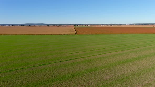 4K, UHD aerial clip of a wheat crops field in rural area, agricultural concept.