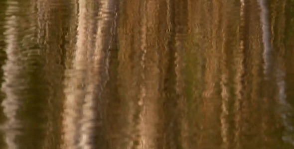 Surface Reflection Abstract 1 alt