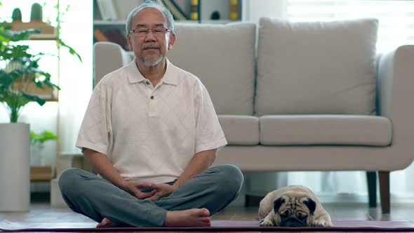 Asian elderly senior man doing yoga with dog pug breed in living room at home alt
