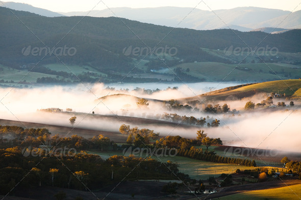 Yarra Valley Fog at Sunrise - Stock Photo - Images