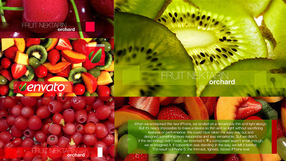 Colorful Lower Fruit - VideoHive 5307470
