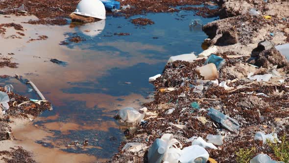 Tilt Up Reveal of Caribbean Beach Covered in Plastic Pollution and Seaweed alt