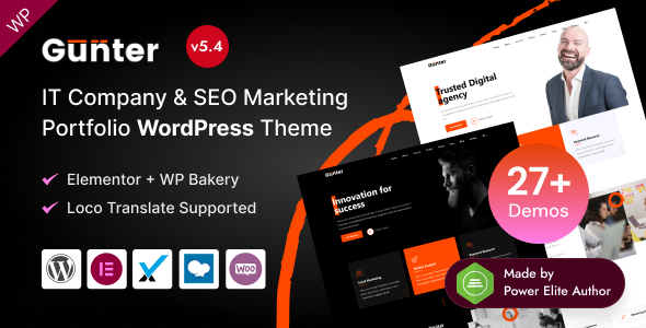 How to Import Seo Company WordPress Theme Content 