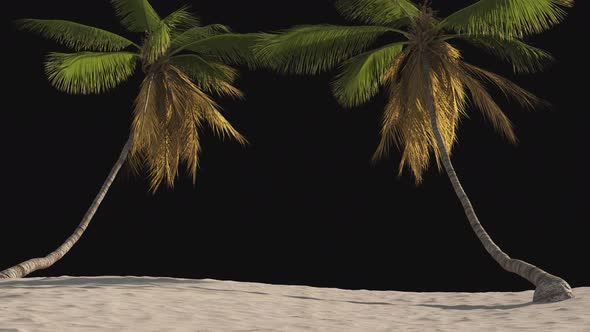 Billet, screensaver beach with tropical palm trees on a transparent background.