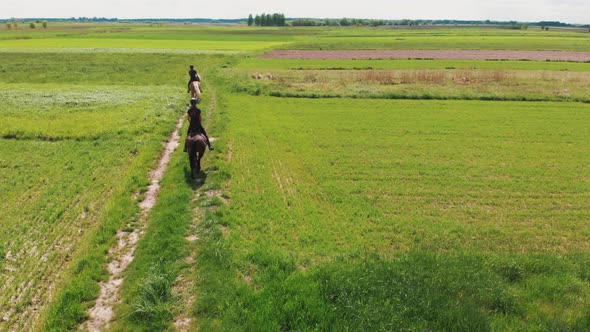 Two Horse Riders On A Light Brown And A Bay Horse Moving Across The Farm Field alt