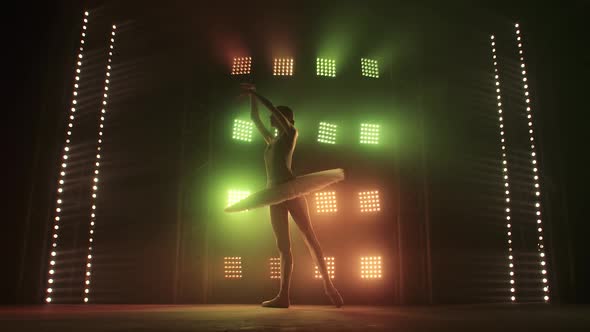 Silhouette Ballet Dancer Performing Swan Lake on the Stage of the Theater. Beauty Concept Slow alt