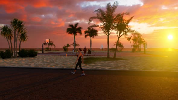 Promenade With Palms And Basketball Court