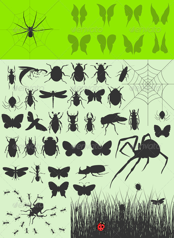 Collection of insects2