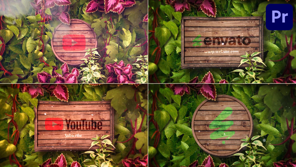 Mysterious Logo for Premiere Pro Premiere Pro template preview