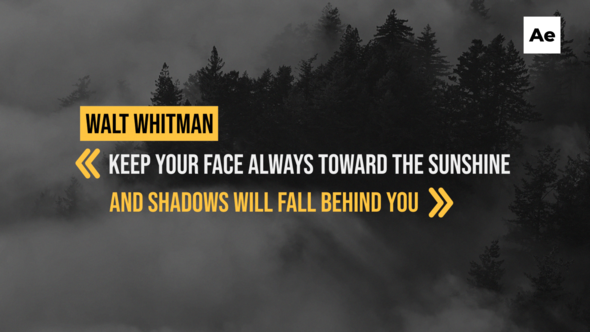 16 Corporate Quotes Titles /Ae Titles template preview