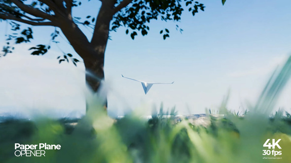 Paper Plane Opener Openers template preview