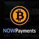 NowPayments For Paid Member Subscriptions 
