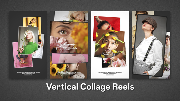 Vertical Collage Reels Product Promo template preview