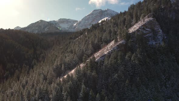Aerial view flying past snowy hill side in forest alt