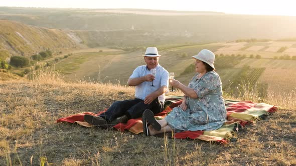 Elderly Couple Sit on the Top of a Hill at a Picnic, Cheers a Glass of Champagne alt