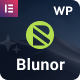 Blunor – Creative Agency & Portfolio WordPress Theme