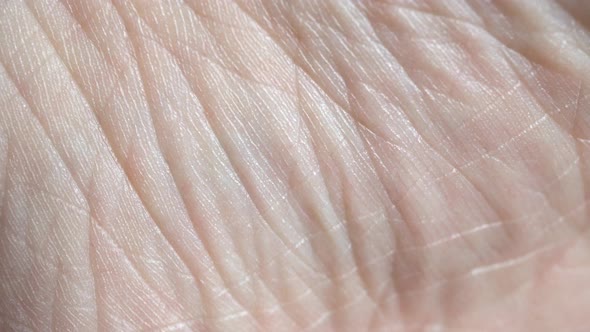 Human Skin Macro Background alt