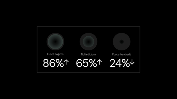 Infographics Infographics template preview