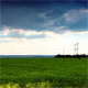 Green Field And Cloudy Sky 1 - VideoHive Item for Sale