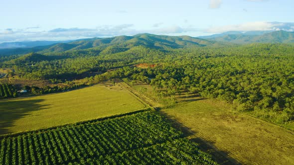 Aerial, Gorgeous View On Tablelands And Plantations  In Queensland, Australia