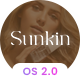 Sunkin - Beauty & Cosmetics Store Shopify 2.0 Theme