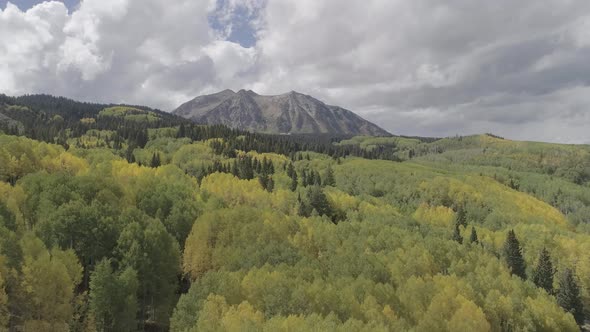 Fall foliage by Crested Butte, CO alt
