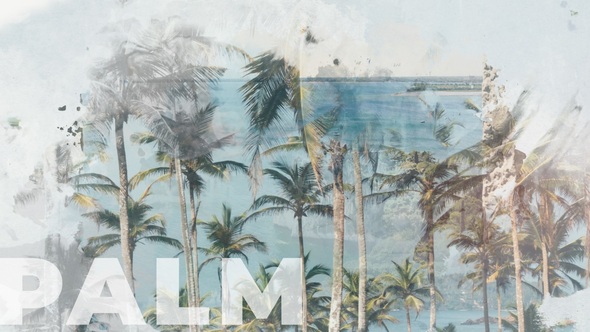 Summer Photo Opener Logo Stings template preview