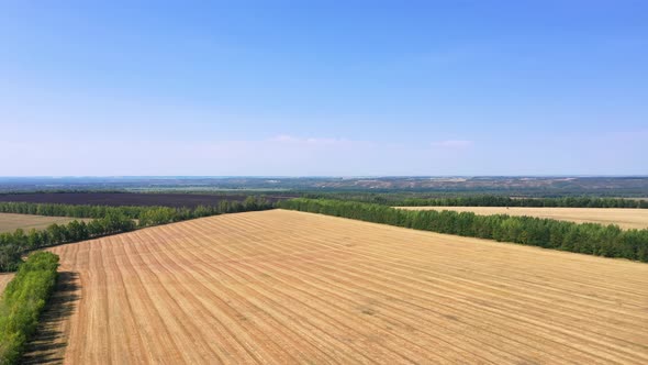 Aerial photography of agricultural fields in Russia. Beautiful views. Sunny day.