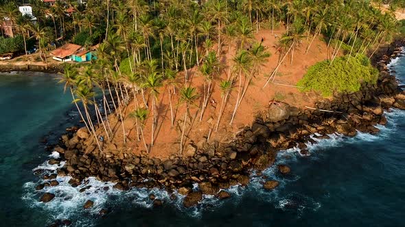 Aerial of Coconut Tree Hill, isolated palm trees. Mirissa, Sri Lanka alt